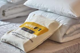 hotelF1 Mulhouse Centre Ouest - photo 9