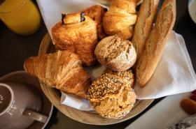 Holiday Inn Mulhouse - photo 15