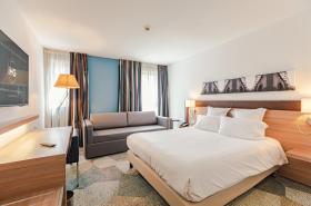 Holiday Inn Mulhouse - photo 9