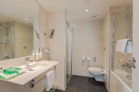 Holiday Inn Mulhouse - photo 20