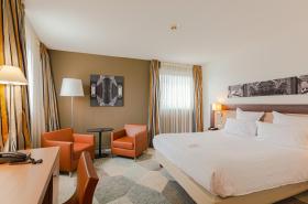 Holiday Inn Mulhouse - photo 22