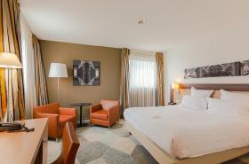 Holiday Inn Mulhouse, an IHG Hotel - photo 16