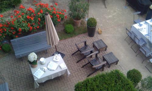 Peonia at Home - photo 3