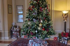 Hôtel du Parc - photo 15